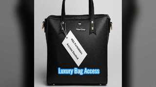 Preloved লুই Vuitton ব্যাগ শৈলী এবং অ্যাক্সেস